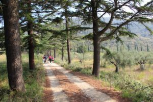 Diabete in marcia Assisi (1)