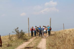 Diabete in marcia Assisi (1)