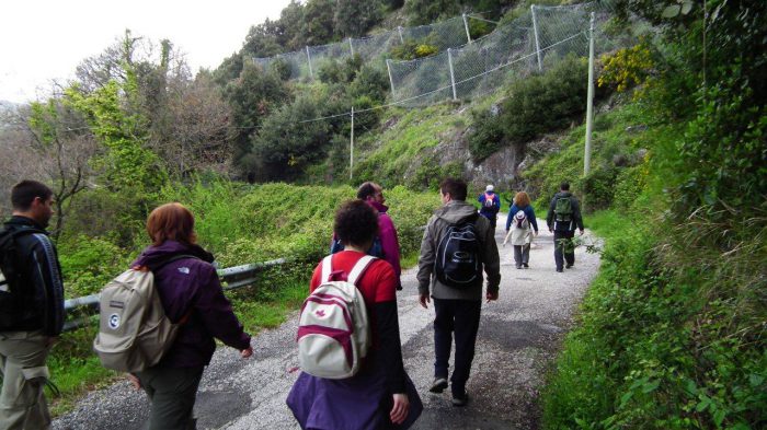 In Forma con il diabete (1)