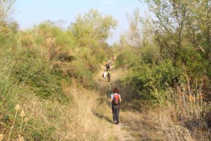Diabete in marcia Assisi (1)