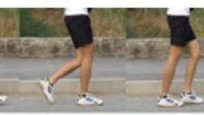Passeggiate con il metodo “Fitwalking” (Primavera 2018)