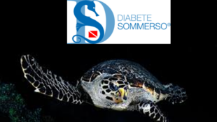 HOME per Diabete Sommerso 2025